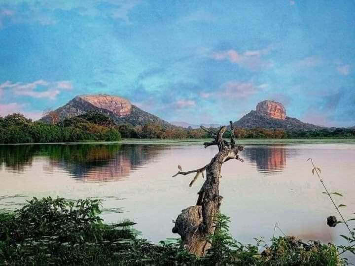 Sigiri Wild Lake Дамбула Екстериор снимка