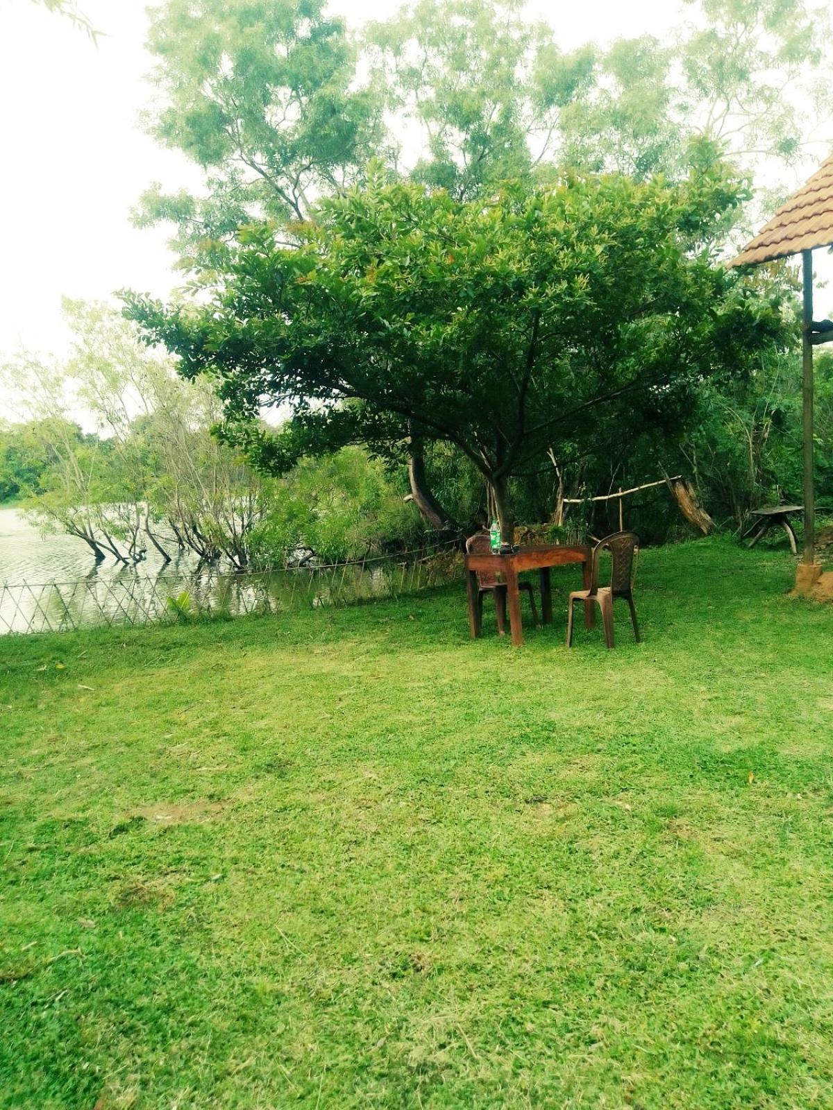 Sigiri Wild Lake Дамбула Стая снимка